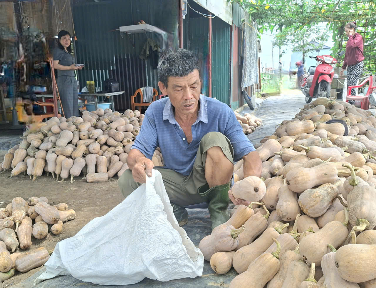 Chung tay hỗ trợ tiêu thụ sản phẩm nông nghiệp – lan tỏa tinh thần đoàn kết, tương trợ trong hội viên nông dân