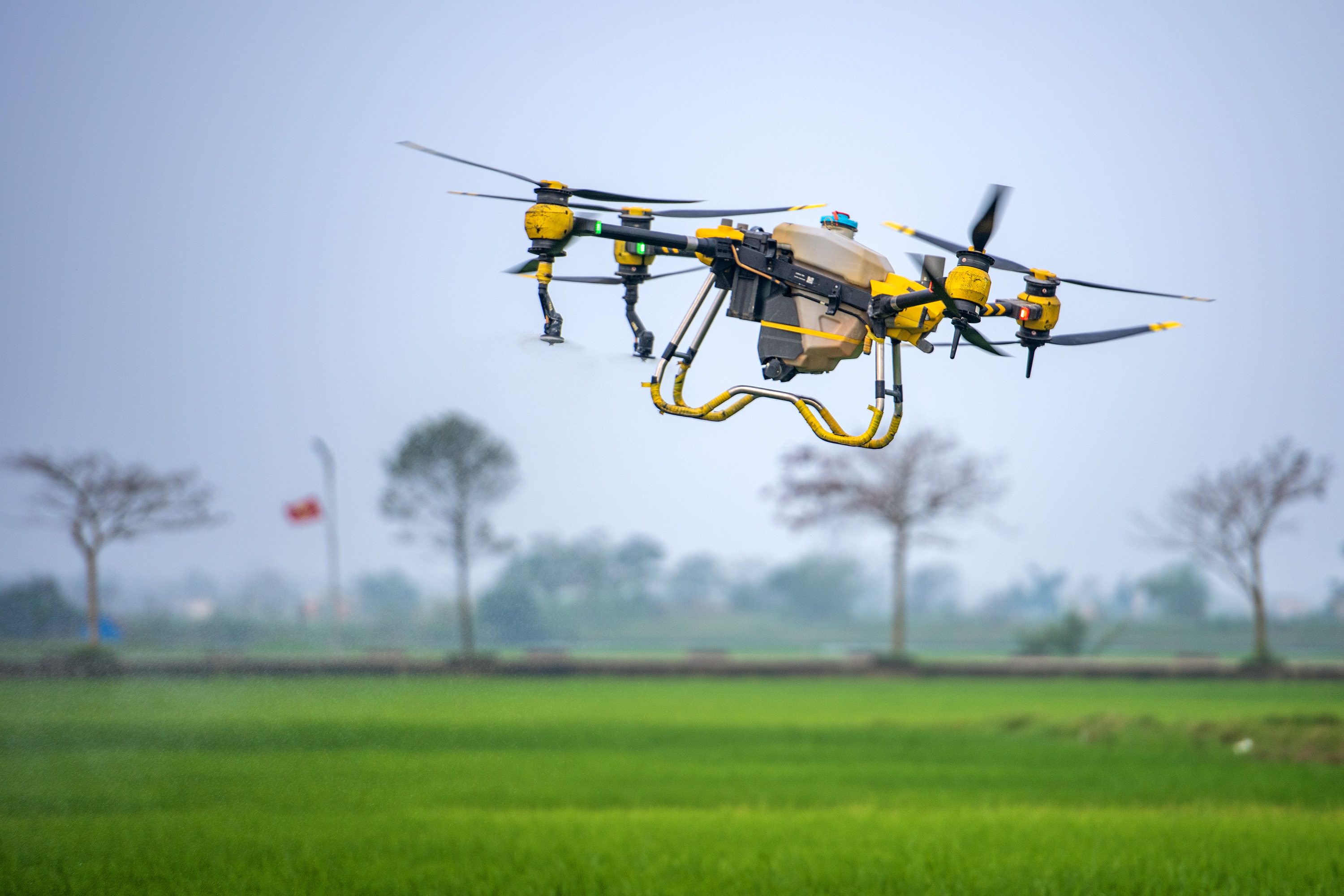 Thí điểm ứng dụng máy bay không người lái trong phòng trừ bệnh đạo ôn hại lúa