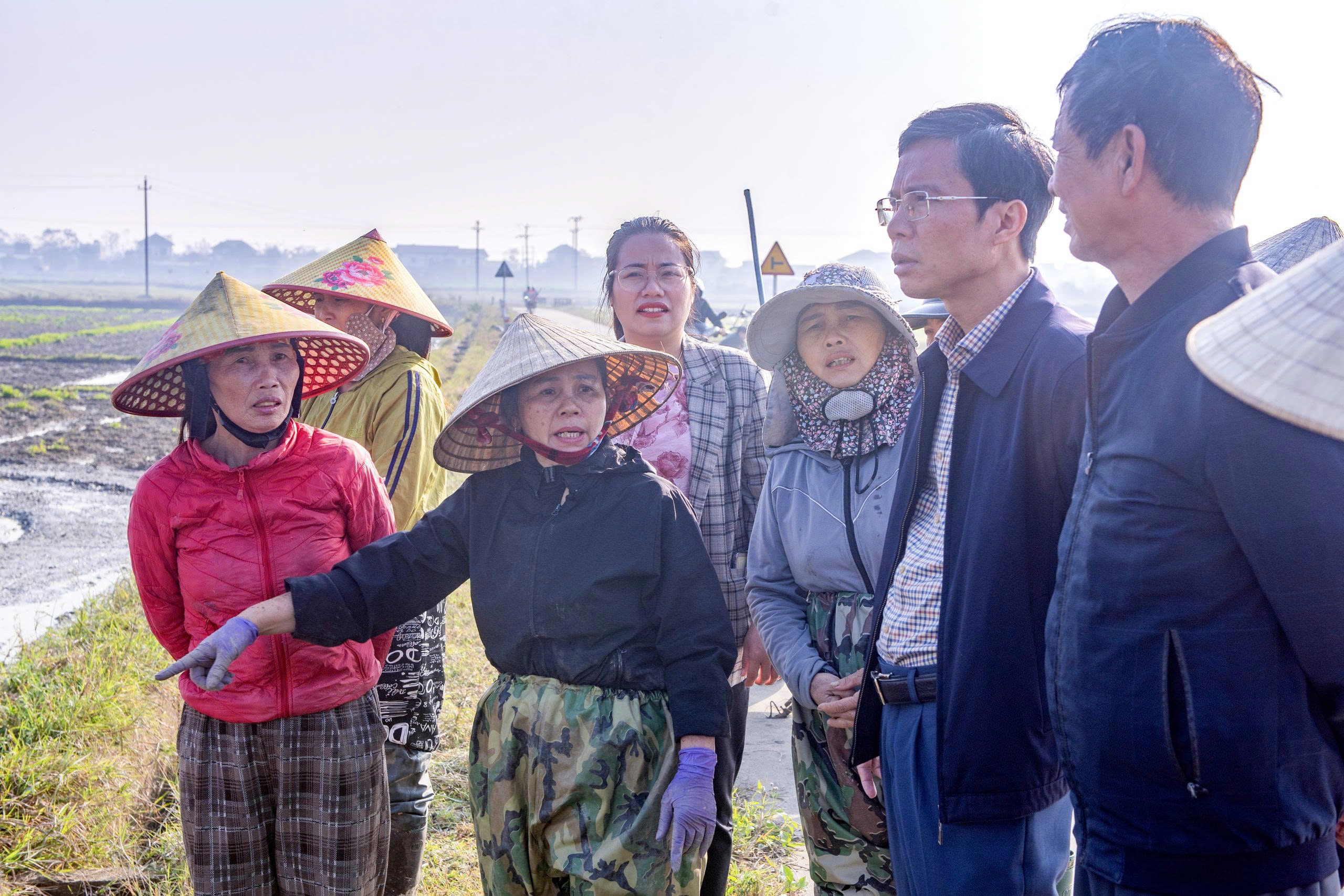 Lãnh đạo xã Đan Hải kiểm tra tình hình sản xuất vụ Xuân năm 2026