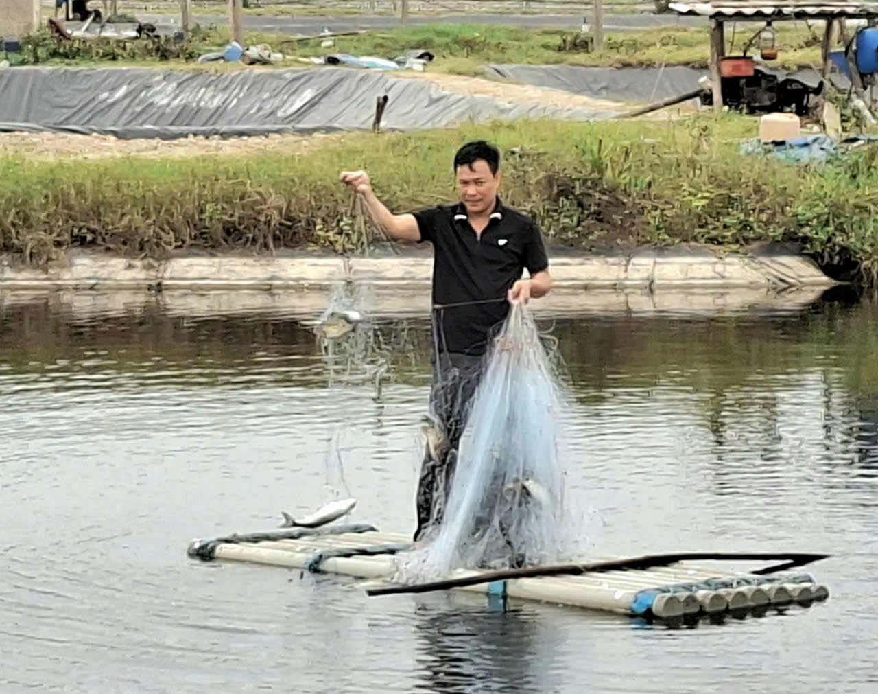 Xã Đan Hải – Người “đánh thức” vùng đầm lầy ven sông