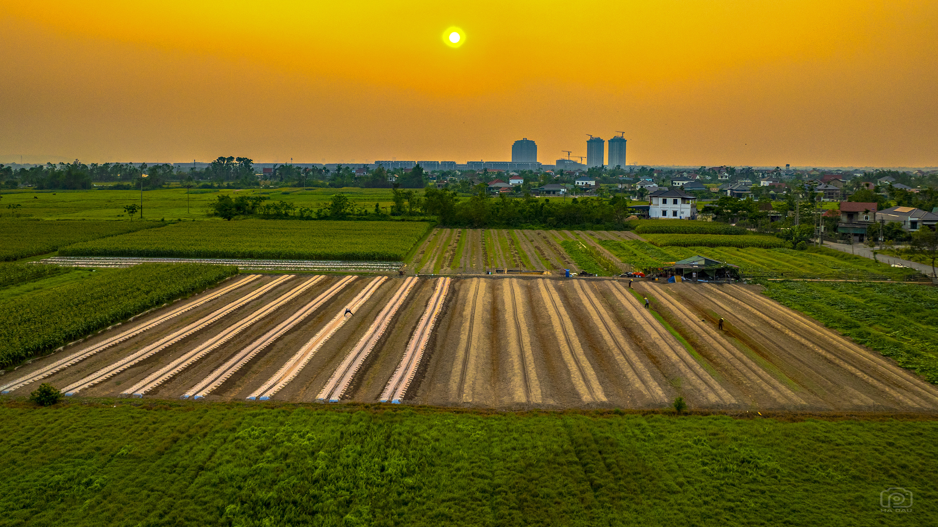 Lan tỏa tinh thần dám nghĩ, dám làm từ hội viên nông dân ở Đan Hải