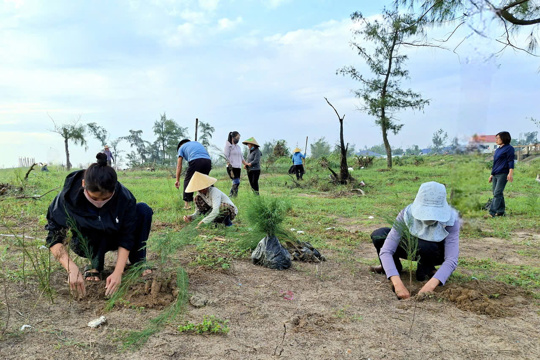 Xã Đan Hải triển khai trồng 33.000 cây Phi lao phục hồi rừng phòng hộ, bảo vệ môi trường        