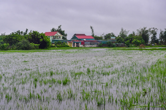 Chủ động phòng, chống mưa lớn, lũ, ngập lụt, lũ quét, sạt lở đất.