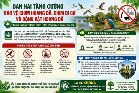 Đan Hải tăng cường bảo vệ chim hoang dã, chim di cư và động vật hoang dã