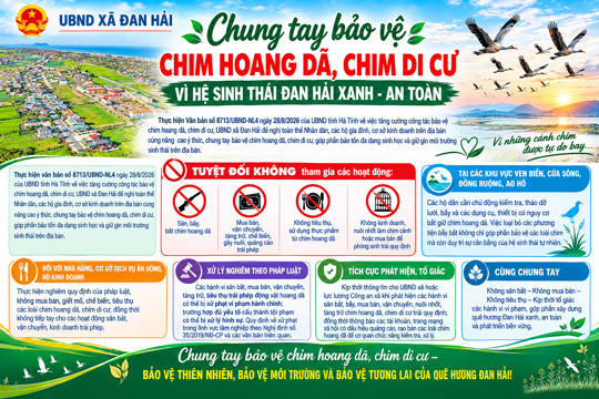Chung tay bảo vệ chim hoang dã, chim di cư vì hệ sinh thái Đan Hải xanh - an toàn